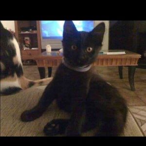 Meet your Posher, Ricardo